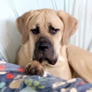 Meet your Posher, Camryn